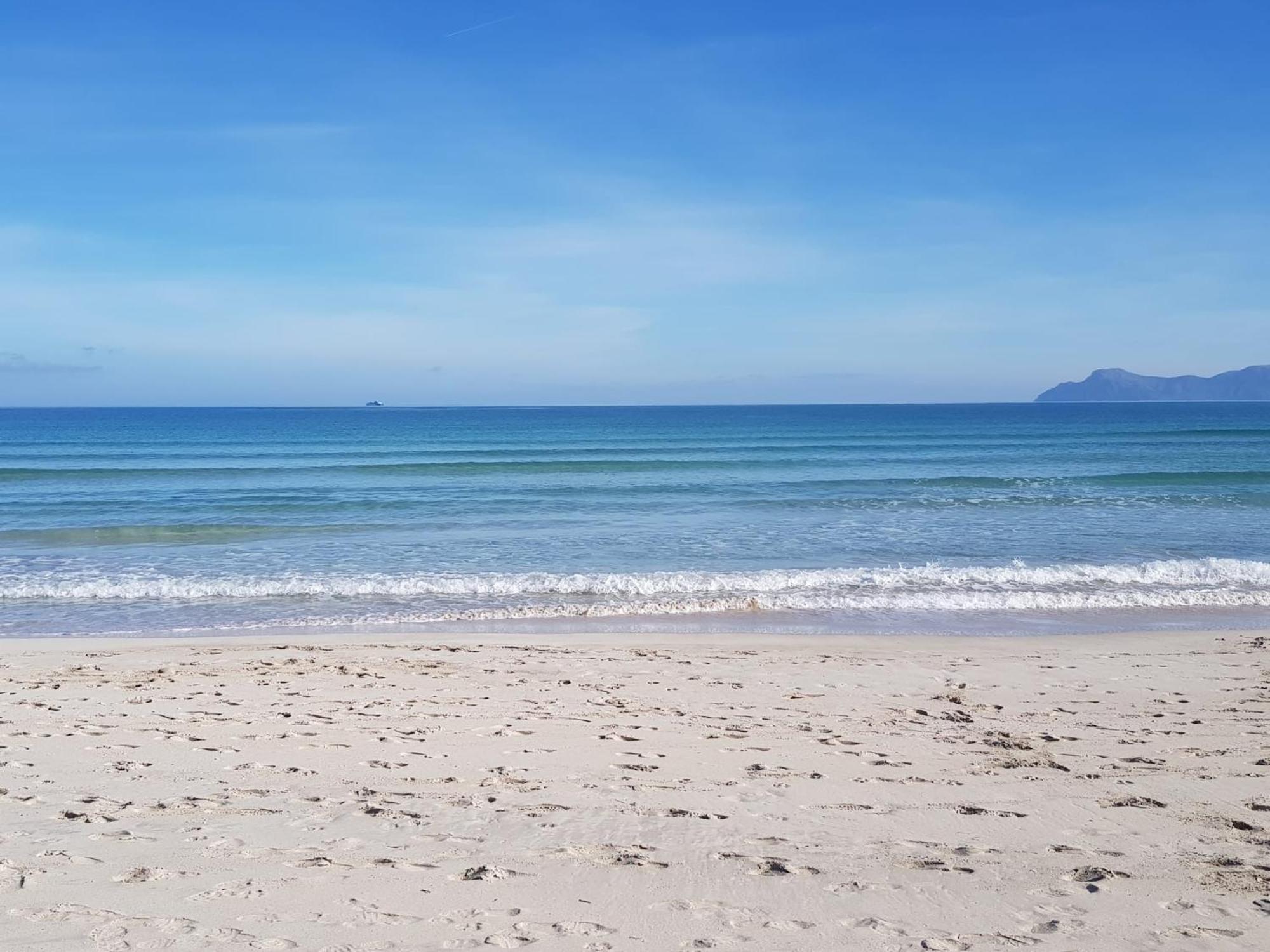 Ideal Mallorca - Delicias Alcudia (Mallorca)